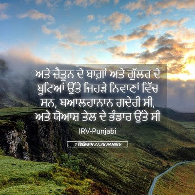 Picture 05 - 1 ਇਤਿਹਾਸ 27:28 PANIRV - ਅਤੇ ਜ਼ੈਤੂਨ ਦੇ - Bible Verse Picture