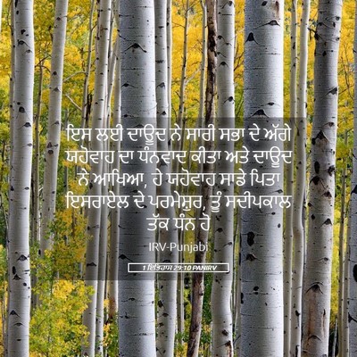 Picture 05 - 1 ਇਤਿਹਾਸ 29:10 PANIRV - ਇਸ ਲਈ ਦਾਊਦ ਨੇ ਸਾਰੀ - Bible Verse Picture
