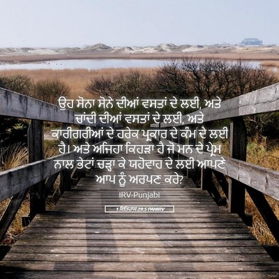 Picture 05 - 1 ਇਤਿਹਾਸ 29:5 PANIRV - ਉਹ ਸੋਨਾ ਸੋਨੇ ਦੀਆਂ - Bible Verse Picture
