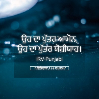 Picture 05 - 1 ਇਤਿਹਾਸ 3:14 PANIRV - ਉਹ ਦਾ ਪੁੱਤਰ ਆਮੋਨ, - Bible Verse Picture