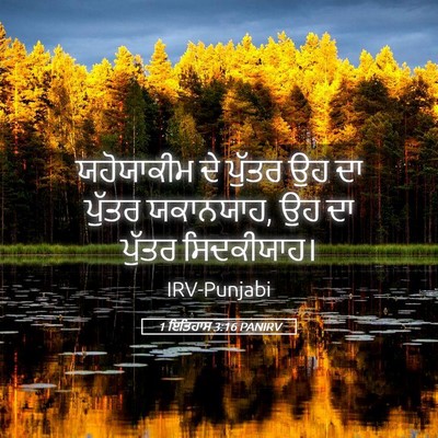 Picture 05 - 1 ਇਤਿਹਾਸ 3:16 PANIRV - ਯਹੋਯਾਕੀਮ ਦੇ ਪੁੱਤਰ - Bible Verse Picture
