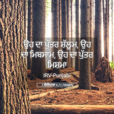 Picture 05 - 1 ਇਤਿਹਾਸ 4:25 PANIRV - ਉਹ ਦਾ ਪੁੱਤਰ ਸ਼ੱਲੂਮ, - Bible Verse Picture