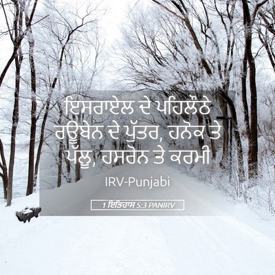 Picture 05 - 1 ਇਤਿਹਾਸ 5:3 PANIRV - ਇਸਰਾਏਲ ਦੇ ਪਹਿਲੌਠੇ - Bible Verse Picture