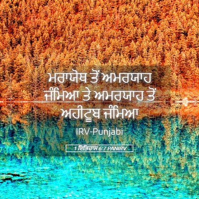 Picture 05 - 1 ਇਤਿਹਾਸ 6:7 PANIRV - ਮਰਾਯੋਥ ਤੋਂ ਅਮਰਯਾਹ - Bible Verse Picture
