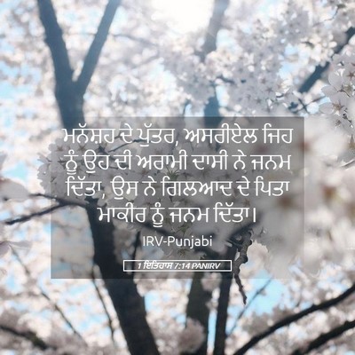Picture 05 - 1 ਇਤਿਹਾਸ 7:14 PANIRV - ਮਨੱਸ਼ਹ ਦੇ ਪੁੱਤਰ, - Bible Verse Picture
