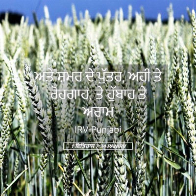 Picture 05 - 1 ਇਤਿਹਾਸ 7:34 PANIRV - ਅਤੇ ਸ਼ਮਰ ਦੇ ਪੁੱਤਰ, - Bible Verse Picture