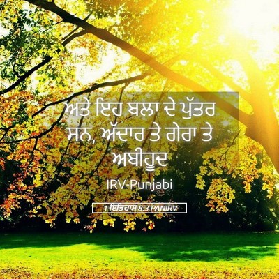 Picture 05 - 1 ਇਤਿਹਾਸ 8:3 PANIRV - ਅਤੇ ਇਹ ਬਲਾ ਦੇ ਪੁੱਤਰ - Bible Verse Picture