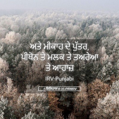 Picture 05 - 1 ਇਤਿਹਾਸ 8:35 PANIRV - ਅਤੇ ਮੀਕਾਹ ਦੇ ਪੁੱਤਰ, - Bible Verse Picture