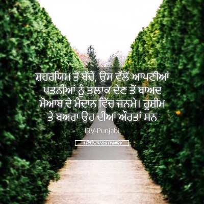 Picture 05 - 1 ਇਤਿਹਾਸ 8:8 PANIRV - ਸ਼ਹਰਯਿਮ ਤੋਂ ਬੱਚੇ, - Bible Verse Picture
