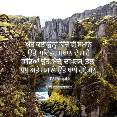 Picture 05 - 1 ਇਤਿਹਾਸ 9:29 PANIRV - ਅਤੇ ਕਈ ਉਨ੍ਹਾਂ - Bible Verse Picture