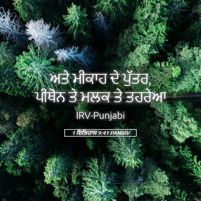 Picture 05 - 1 ਇਤਿਹਾਸ 9:41 PANIRV - ਅਤੇ ਮੀਕਾਹ ਦੇ ਪੁੱਤਰ, - Bible Verse Picture