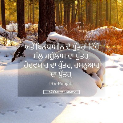 Picture 05 - 1 ਇਤਿਹਾਸ 9:7 PANIRV - ਅਤੇ ਬਿਨਯਾਮੀਨ ਦੇ - Bible Verse Picture