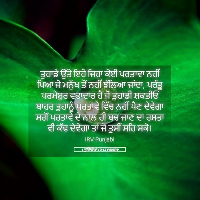 Picture 05 - 1 ਕੁਰਿੰਥੀਆਂ 10:13 PANIRV - ਤੁਹਾਡੇ ਉੱਤੇ ਇਹੋ - Bible Verse Picture