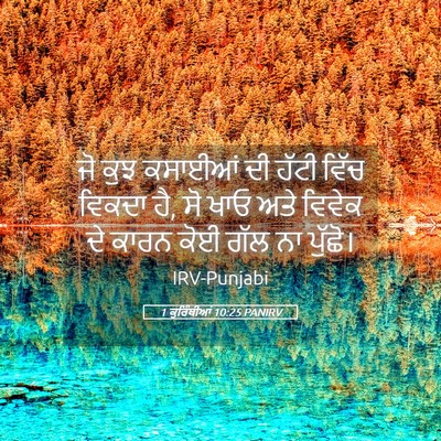 Picture 05 - 1 ਕੁਰਿੰਥੀਆਂ 10:25 PANIRV - ਜੋ ਕੁਝ ਕਸਾਈਆਂ ਦੀ - Bible Verse Picture