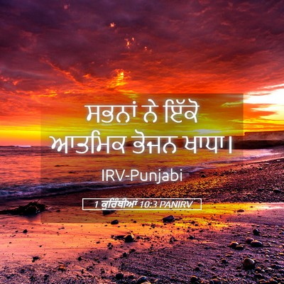 Picture 05 - 1 ਕੁਰਿੰਥੀਆਂ 10:3 PANIRV - ਸਭਨਾਂ ਨੇ ਇੱਕੋ - Bible Verse Picture