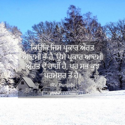 Picture 05 - 1 ਕੁਰਿੰਥੀਆਂ 11:12 PANIRV - ਕਿਉਂਕਿ ਜਿਸ ਪ੍ਰਕਾਰ - Bible Verse Picture