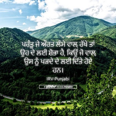 Picture 05 - 1 ਕੁਰਿੰਥੀਆਂ 11:15 PANIRV - ਪਰੰਤੂ ਜੇ ਔਰਤ ਲੰਮੇ - Bible Verse Picture