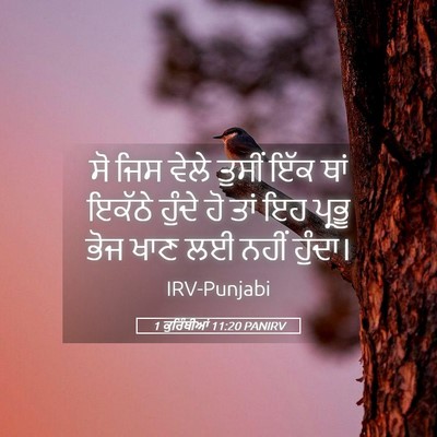 Picture 05 - 1 ਕੁਰਿੰਥੀਆਂ 11:20 PANIRV - ਸੋ ਜਿਸ ਵੇਲੇ ਤੁਸੀਂ - Bible Verse Picture