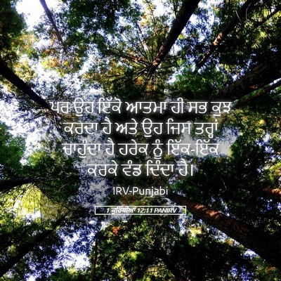 Picture 05 - 1 ਕੁਰਿੰਥੀਆਂ 12:11 PANIRV - ਪਰ ਉਹ ਇੱਕੋ ਆਤਮਾ ਹੀ - Bible Verse Picture