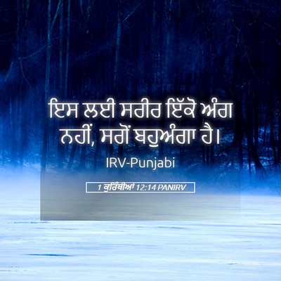 Picture 05 - 1 ਕੁਰਿੰਥੀਆਂ 12:14 PANIRV - ਇਸ ਲਈ ਸਰੀਰ ਇੱਕੋ ਅੰਗ - Bible Verse Picture