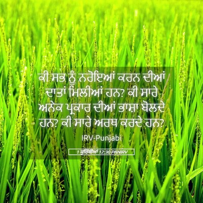 Picture 05 - 1 ਕੁਰਿੰਥੀਆਂ 12:30 PANIRV - ਕੀ ਸਭ ਨੂੰ ਨਰੋਇਆਂ - Bible Verse Picture