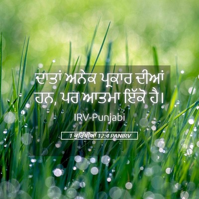 Picture 05 - 1 ਕੁਰਿੰਥੀਆਂ 12:4 PANIRV - ਦਾਤਾਂ ਅਨੇਕ ਪ੍ਰਕਾਰ - Bible Verse Picture