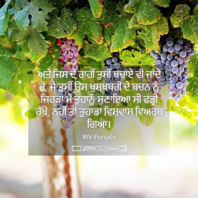 Picture 05 - 1 ਕੁਰਿੰਥੀਆਂ 15:2 PANIRV - ਅਤੇ ਜਿਸ ਦੇ ਰਾਹੀਂ - Bible Verse Picture