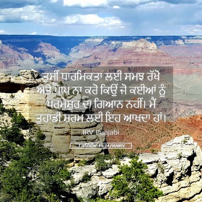 Picture 05 - 1 ਕੁਰਿੰਥੀਆਂ 15:34 PANIRV - ਤੁਸੀਂ ਧਾਰਮਿਕਤਾ ਲਈ - Bible Verse Picture