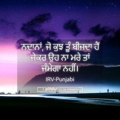 Picture 05 - 1 ਕੁਰਿੰਥੀਆਂ 15:36 PANIRV - ਨਦਾਨਾਂ, ਜੋ ਕੁਝ ਤੂੰ - Bible Verse Picture