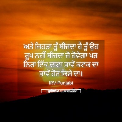 Picture 05 - 1 ਕੁਰਿੰਥੀਆਂ 15:37 PANIRV - ਅਤੇ ਜਿਹੜਾ ਤੂੰ - Bible Verse Picture