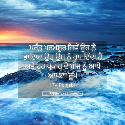 Picture 05 - 1 ਕੁਰਿੰਥੀਆਂ 15:38 PANIRV - ਪਰੰਤੂ ਪਰਮੇਸ਼ੁਰ - Bible Verse Picture