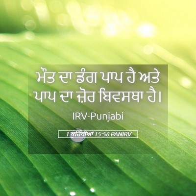 Picture 05 - 1 ਕੁਰਿੰਥੀਆਂ 15:56 PANIRV - ਮੌਤ ਦਾ ਡੰਗ ਪਾਪ ਹੈ - Bible Verse Picture