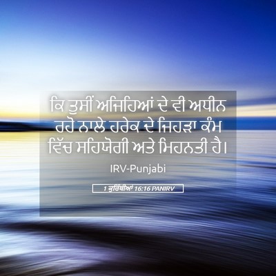 Picture 05 - 1 ਕੁਰਿੰਥੀਆਂ 16:16 PANIRV - ਕਿ ਤੁਸੀਂ ਅਜਿਹਿਆਂ - Bible Verse Picture