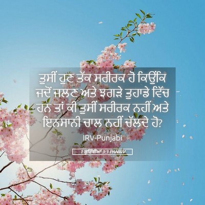 Picture 05 - 1 ਕੁਰਿੰਥੀਆਂ 3:3 PANIRV - ਤੁਸੀਂ ਹੁਣ ਤੱਕ - Bible Verse Picture