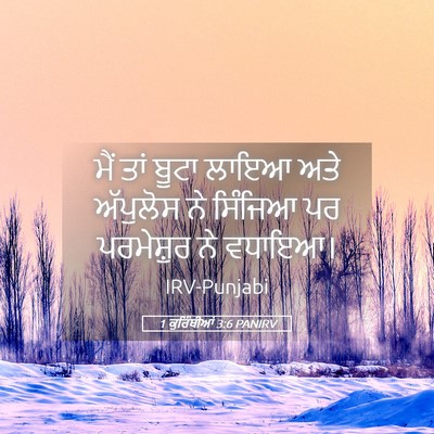 Picture 05 - 1 ਕੁਰਿੰਥੀਆਂ 3:6 PANIRV - ਮੈਂ ਤਾਂ ਬੂਟਾ ਲਾਇਆ - Bible Verse Picture