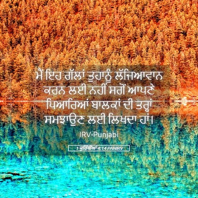 Picture 05 - 1 ਕੁਰਿੰਥੀਆਂ 4:14 PANIRV - ਮੈਂ ਇਹ ਗੱਲਾਂ - Bible Verse Picture