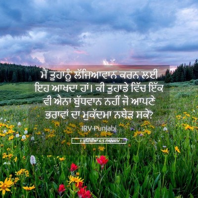 Picture 05 - 1 ਕੁਰਿੰਥੀਆਂ 6:5 PANIRV - ਮੈਂ ਤੁਹਾਨੂੰ - Bible Verse Picture