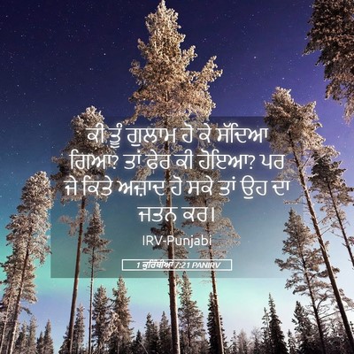 Picture 05 - 1 ਕੁਰਿੰਥੀਆਂ 7:21 PANIRV - ਕੀ ਤੂੰ ਗੁਲਾਮ ਹੋ ਕੇ - Bible Verse Picture