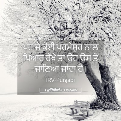 Picture 05 - 1 ਕੁਰਿੰਥੀਆਂ 8:3 PANIRV - ਪਰ ਜੇ ਕੋਈ ਪਰਮੇਸ਼ੁਰ - Bible Verse Picture