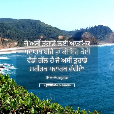 Picture 05 - 1 ਕੁਰਿੰਥੀਆਂ 9:11 PANIRV - ਜੇ ਅਸੀਂ ਤੁਹਾਡੇ ਲਈ - Bible Verse Picture