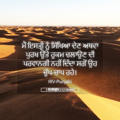 Picture 05 - 1 ਤਿਮੋਥਿਉਸ 2:12 PANIRV - ਮੈਂ ਇਸਤ੍ਰੀ ਨੂੰ - Bible Verse Picture