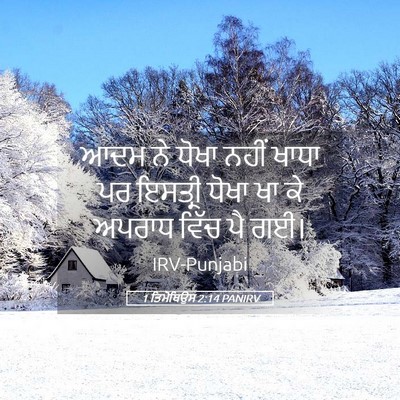 Picture 05 - 1 ਤਿਮੋਥਿਉਸ 2:14 PANIRV - ਆਦਮ ਨੇ ਧੋਖਾ ਨਹੀਂ - Bible Verse Picture