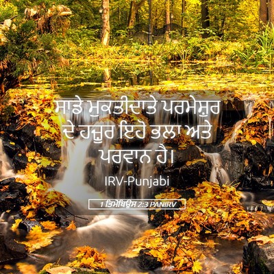 Picture 05 - 1 ਤਿਮੋਥਿਉਸ 2:3 PANIRV - ਸਾਡੇ ਮੁਕਤੀਦਾਤੇ - Bible Verse Picture
