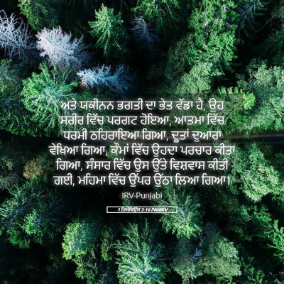 Picture 05 - 1 ਤਿਮੋਥਿਉਸ 3:16 PANIRV - ਅਤੇ ਯਕੀਨਨ ਭਗਤੀ ਦਾ - Bible Verse Picture