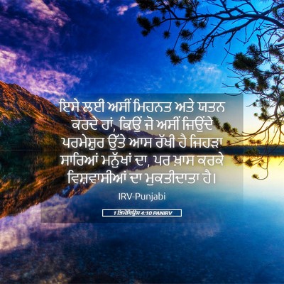 Picture 05 - 1 ਤਿਮੋਥਿਉਸ 4:10 PANIRV - ਇਸੇ ਲਈ ਅਸੀਂ ਮਿਹਨਤ - Bible Verse Picture