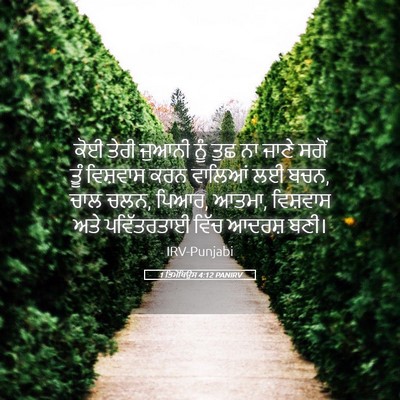 Picture 05 - 1 ਤਿਮੋਥਿਉਸ 4:12 PANIRV - ਕੋਈ ਤੇਰੀ ਜੁਆਨੀ ਨੂੰ - Bible Verse Picture