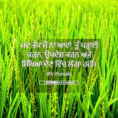Picture 05 - 1 ਤਿਮੋਥਿਉਸ 4:13 PANIRV - ਜਦ ਤੱਕ ਮੈਂ ਨਾ ਆਵਾਂ, - Bible Verse Picture