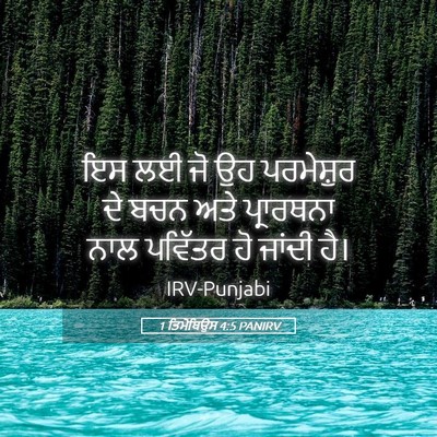 Picture 05 - 1 ਤਿਮੋਥਿਉਸ 4:5 PANIRV - ਇਸ ਲਈ ਜੋ ਉਹ - Bible Verse Picture
