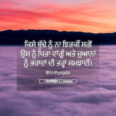 Picture 05 - 1 ਤਿਮੋਥਿਉਸ 5:1 PANIRV - ਕਿਸੇ ਬੁੱਢੇ ਨੂੰ ਨਾ - Bible Verse Picture