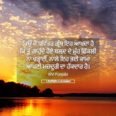 Picture 05 - 1 ਤਿਮੋਥਿਉਸ 5:18 PANIRV - ਕਿਉਂ ਜੋ ਪਵਿੱਤਰ - Bible Verse Picture